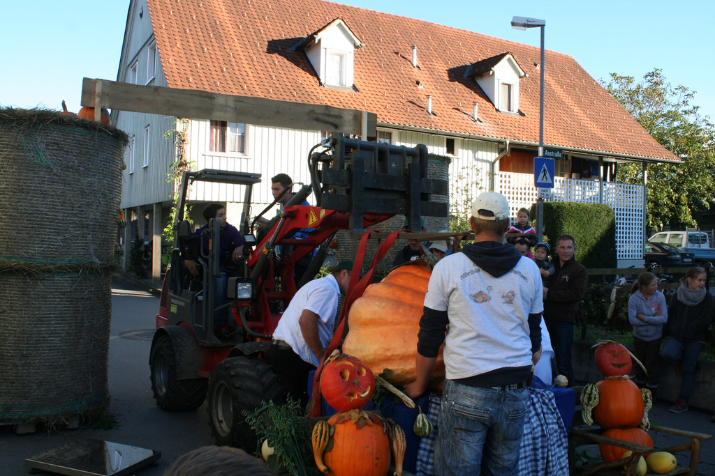 IMG_3059_JPG-1381756128