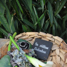 Bild 065.jpg