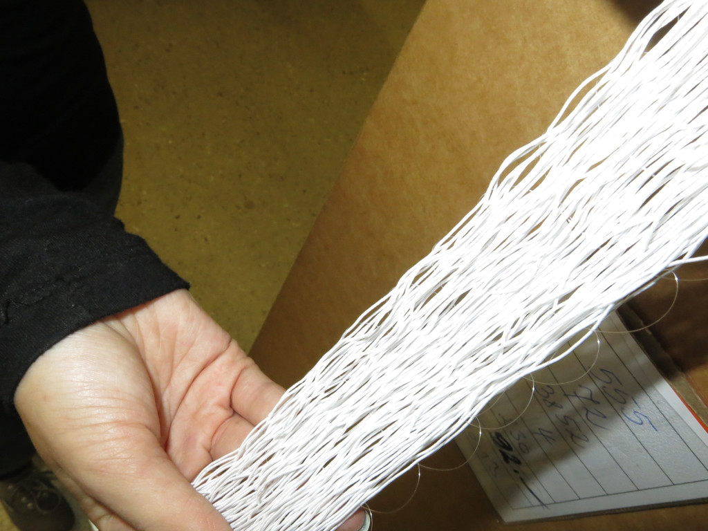 IMG_1316_JPG-1381760492