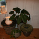 IMG_2690_JPG-1381762452