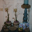 IMG_2705_JPG-1381762658