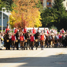 131013schnalzerat04003aktivnews075.JPG