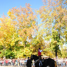131013schnalzerat04003aktivnews032.JPG