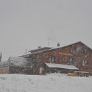 DSC_7883.JPG