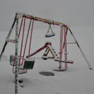 DSC_7893.JPG