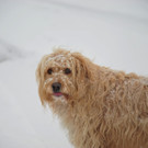 DSC_7921.JPG