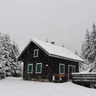 DSC_7929.JPG