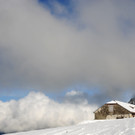DSC_7981.JPG