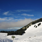 DSC_7987.JPG