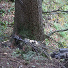 14102013forstde01001aktivnews_07.JPG