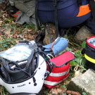 14102013forstde01001aktivnews_13.JPG