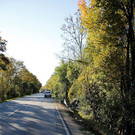 _MG_4943.jpg