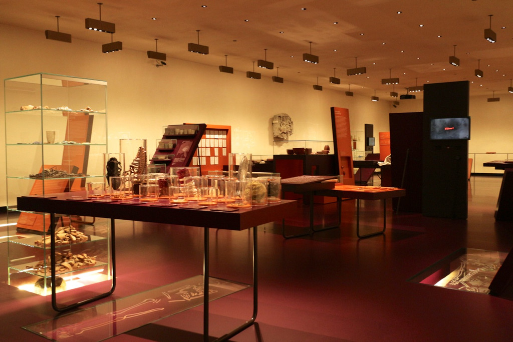 KOE_SB Frastanz im vorarlberg museum 33_jpg-1381842630