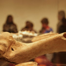 KOE_SB Frastanz im vorarlberg museum 37_jpg-1381842649
