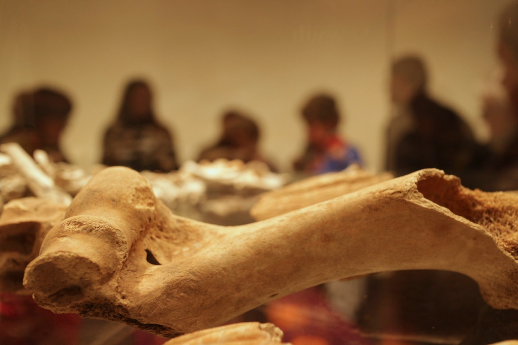 KOE_SB Frastanz im vorarlberg museum 37_jpg-1381842649
