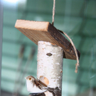 Osterbasar_11_jpg-1269181102
