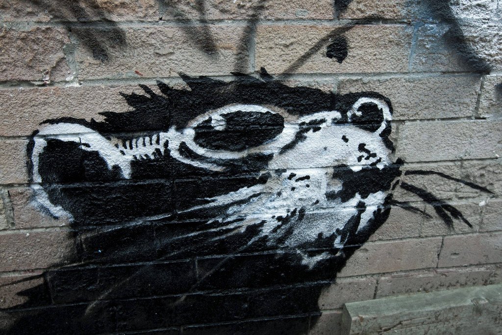 Canada_Banksy_Graffiti__NSD112.jpg