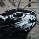 Canada_Banksy_Graffiti__NSD112.jpg