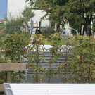 DSC01922_JPG-1381990236