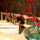 DSC06405.jpg