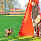 Hundebewerb 17-10-2013 19_jpg-1382027964