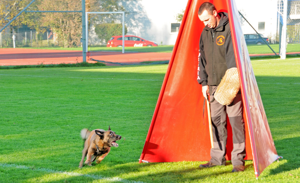 Hundebewerb 17-10-2013 19_jpg-1382027964