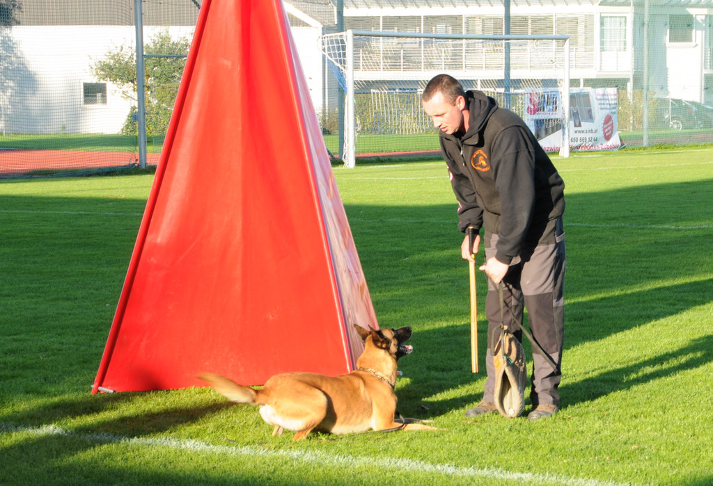 Belg_Sch__ferhunde 17-10-2013 26_jpg-1382027889