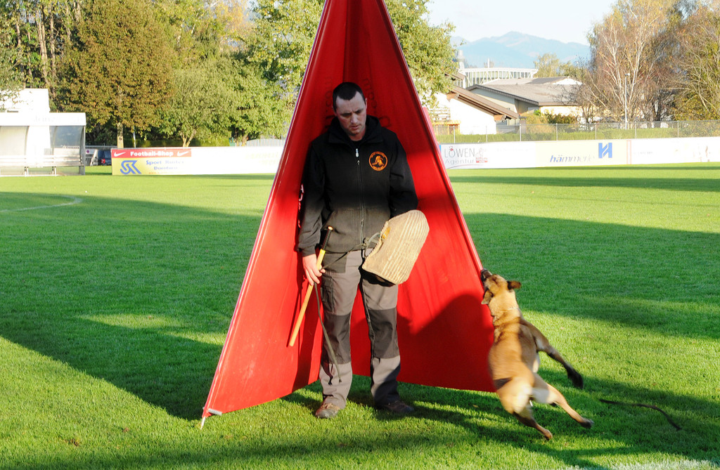 Belg_Sch__ferhunde 17-10-2013 31_jpg-1382027911