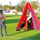 Belg_Sch__ferhunde 17-10-2013 43_jpg-1382027945
