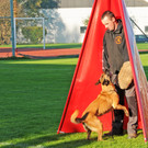 Hundebewerb  17-10-2013 22_jpg-1382027956