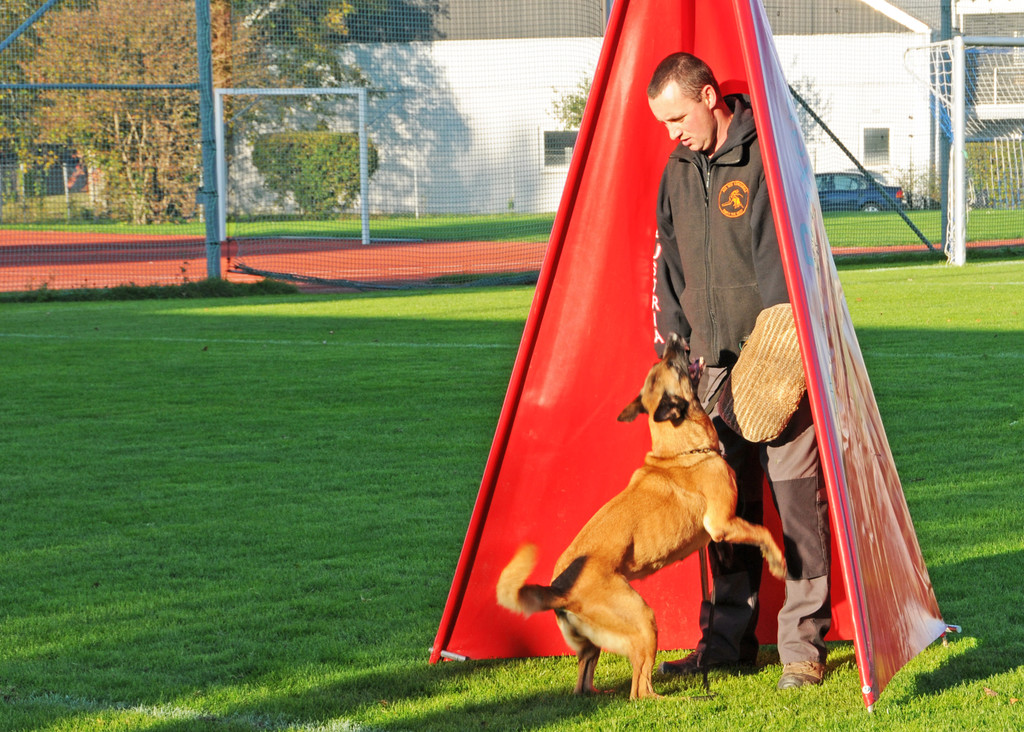 Hundebewerb  17-10-2013 22_jpg-1382027956