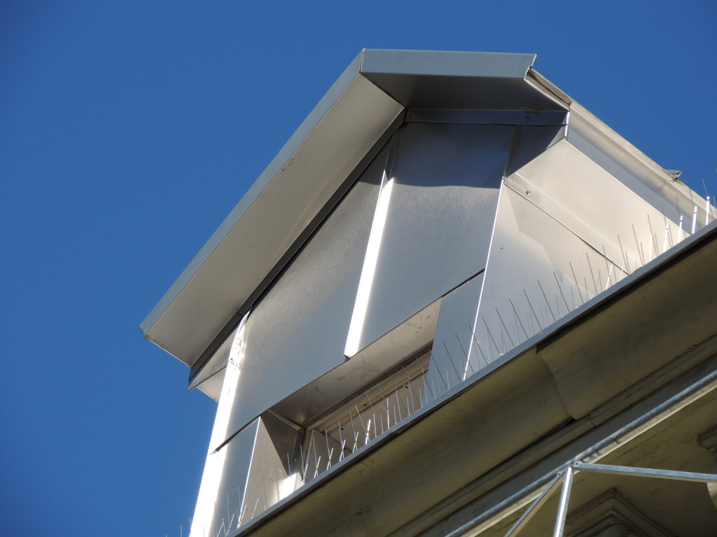 DSCN5504_JPG-1382042039