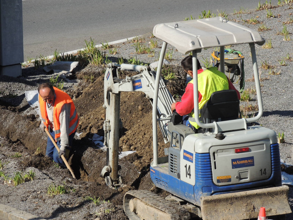 DSCN9379_JPG-1382044708