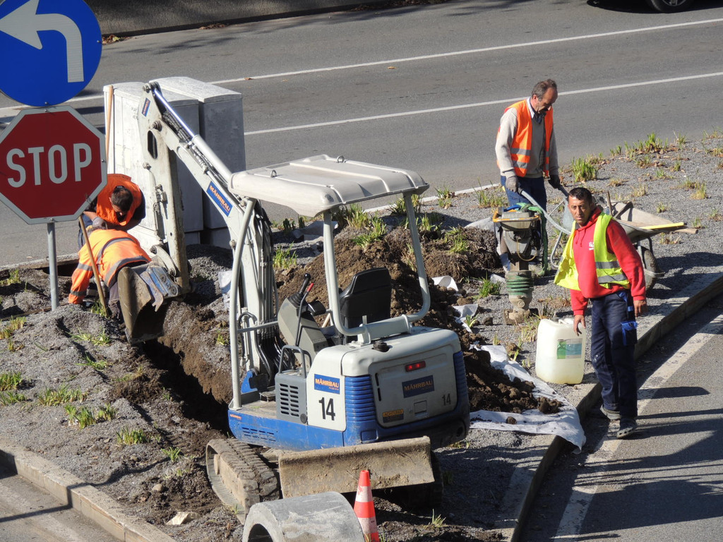 DSCN9390_JPG-1382044729