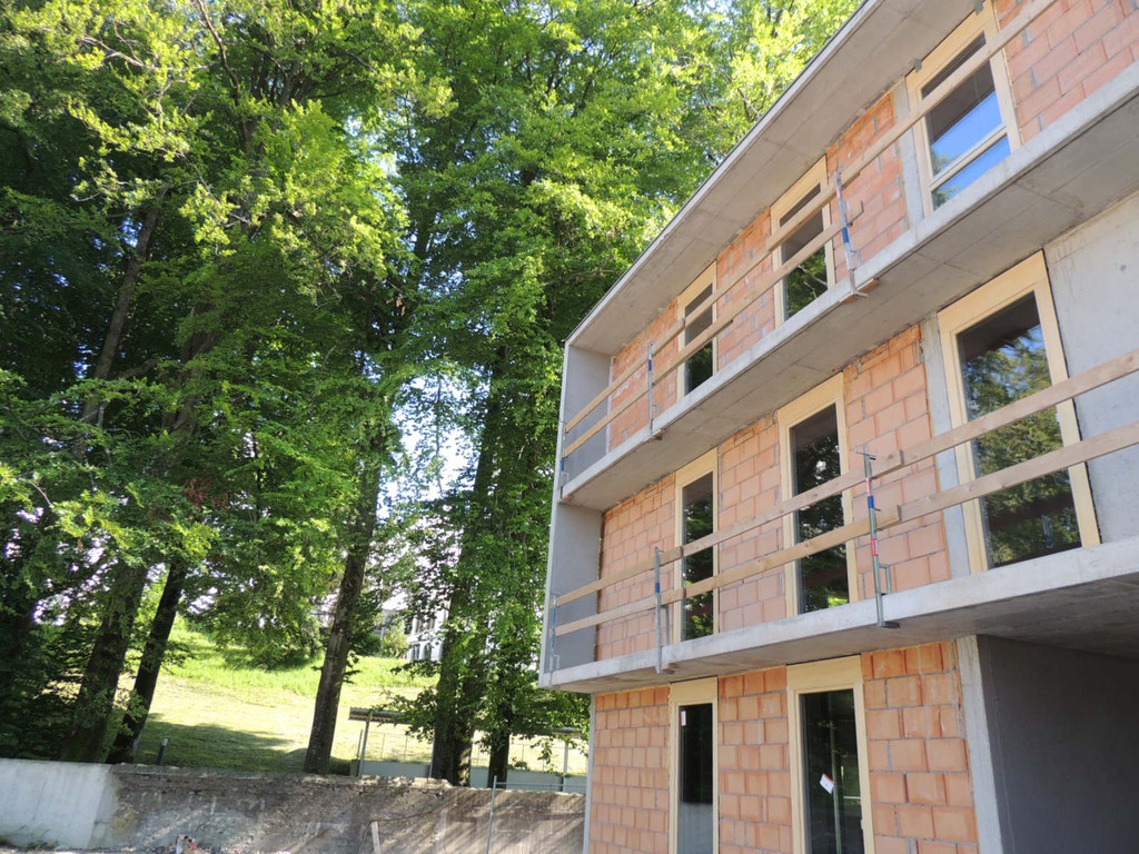 DSCN8803_JPG-1382045321