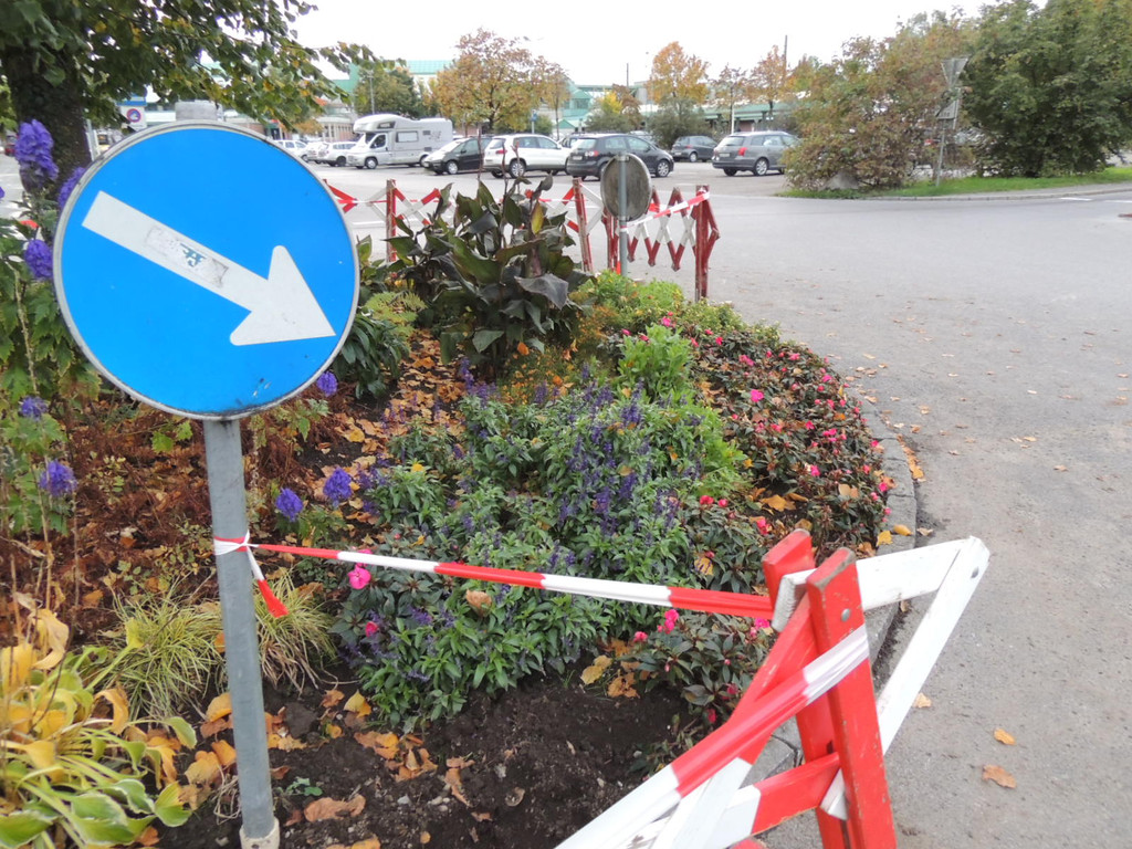 DSCN9175_JPG-1382045988