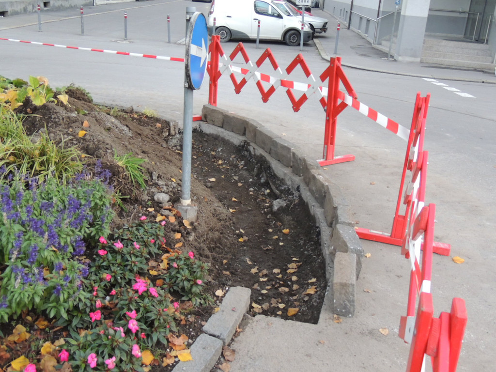 DSCN9173_JPG-1382045981