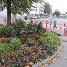 DSCN9176_JPG-1382045992