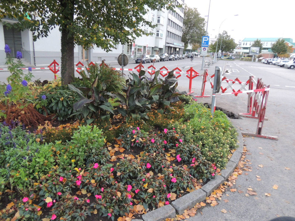 DSCN9176_JPG-1382045992