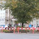 DSCN9171_JPG-1382045973