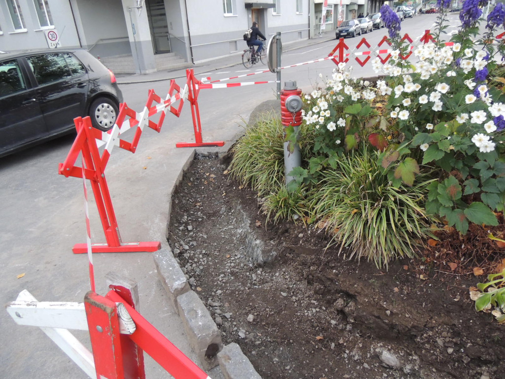 DSCN9174_JPG-1382045985