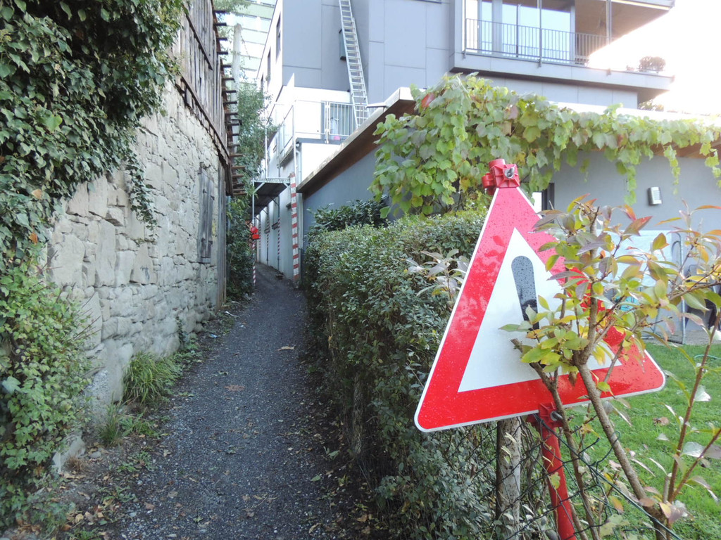 DSCN8780_JPG-1382047239