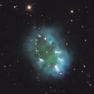 DAB0717-20110812.jpg