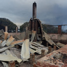 Buschbrand in Australien