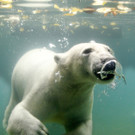 ABD0060-20131018.jpg