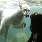 ABD0059-20131018.jpg