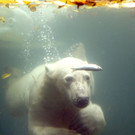 ABD0061-20131018.jpg