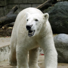 ABD0057-20131018.jpg
