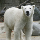 ABD0056-20131018.jpg