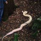 ABD0016-20131016.jpg
